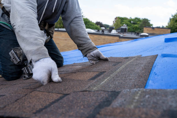 Best Metal Roofing Contractor  in Hanahan, SC